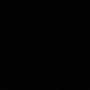 Meet your Posher, Bridget